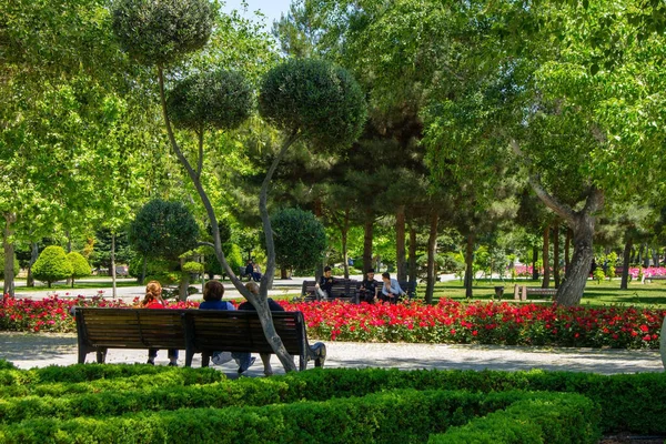 Bakou Azerbaïdjan 2020 Année Les Gens Reposent Ombre Des Arbres — Photo