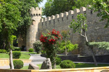 Kale duvarının yanında güzel bir gül parkı. Bakü. Azerbaycan.