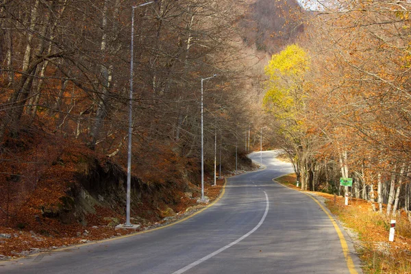 Estrada Asfalto Que Leva Através Floresta Outono — Fotografia de Stock