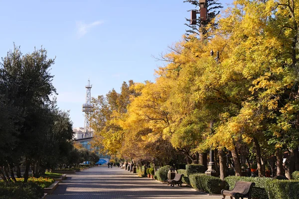 Baku Old Boulevard Early Morning Baku Azerbaijan — Stock Photo, Image