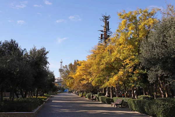 Baku Boulevard Velho Início Manhã Baku Azerbaijão — Fotografia de Stock