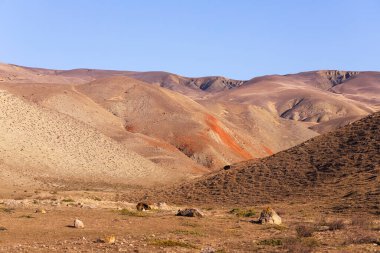 Kırmızı çizgili güzel dağlar. Khizi bölgesi. Azerbaycan.