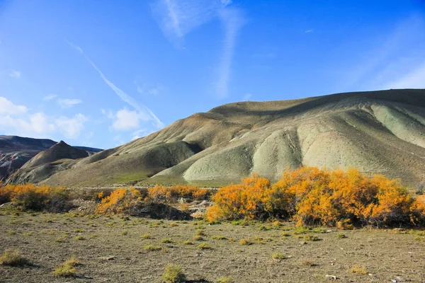 Árboles Amarillos Otoñales Las Montañas Región Khizi Azerbaiyán —  Fotos de Stock