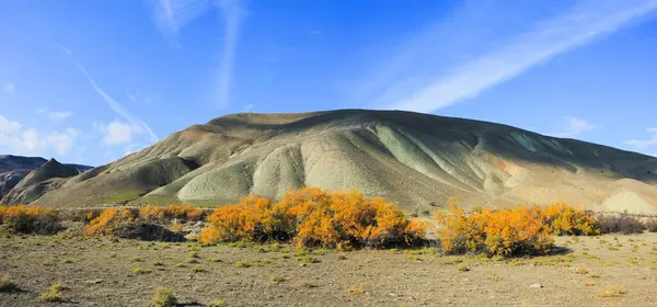 Hermosos Árboles Amarillos Junto Río Región Khizi Azerbaiyán —  Fotos de Stock