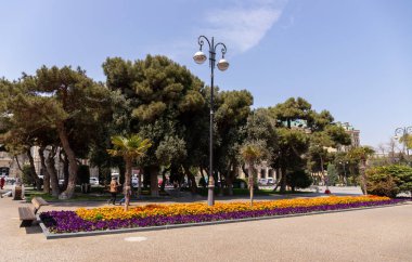Bakü. Azerbaycan. 04.27.2022. Venedik 'in güzel çiçekleri şehir bulvarında.