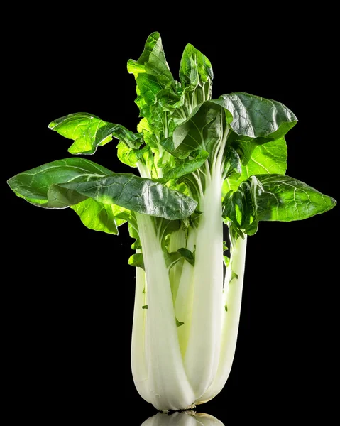 Pak-Choi Chinakohl auf schwarzem Hintergrund Stockbild