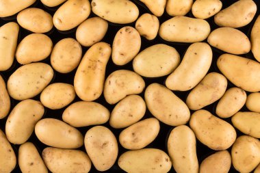 Siyah arka planda taze patates.