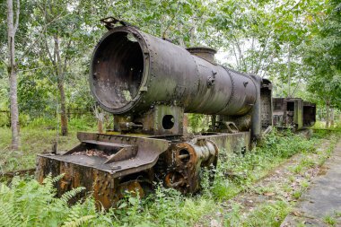 Buhar motoru lokomotif uzakta Sumatra ormanda paslanma