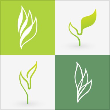 Organik simgeler elemanları. Dört farklı tasarlanmış yaprakların Bio seti. Vektör illüstrasyon tasarımı örneği. En iyi logolar, reklam için kullanılan ve sağlıklı ürünler tanıtmak için.