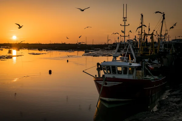 Fishing boats at sunset — Stock Photo, Image