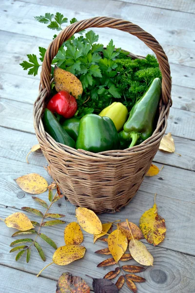 Vegetables Wicker Basket Close Autumn Fallen Leaves Scattered Harvesting Tomatoes — Stock Photo, Image