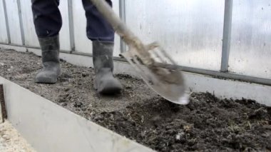 Lastik çizmeli bir kadın, çiftliğindeki bir serada yatak kazıyor..