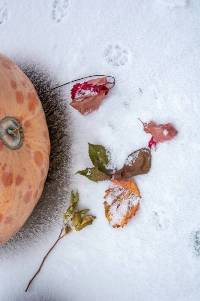 Vertical Winter Background Picture Pumpkin Old Leaves — Stock Photo, Image