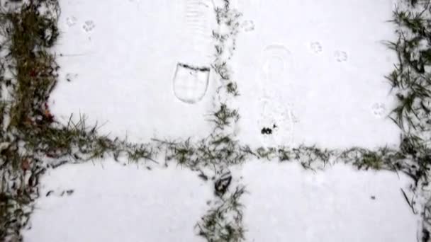 Een schoenafdruk in de sneeuw. Voetafdrukken in de pas gevallen sneeuw op het pad. Sneeuwsporen op het betonnen pad bij het huis. Begin van de winter. — Stockvideo