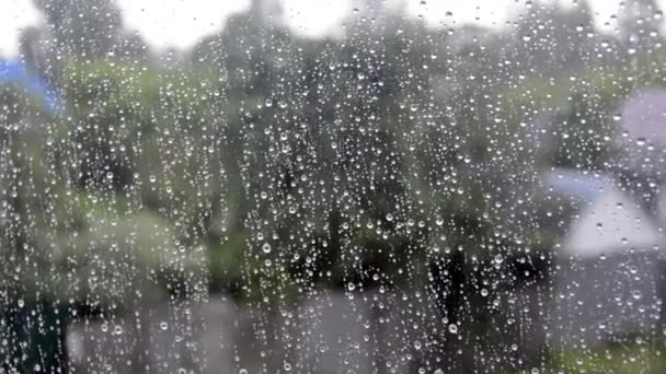 Droppar på glaset. Regndroppar rinner ner genom fönstret. Väderförhållanden. — Stockvideo
