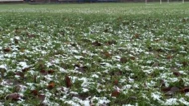 İlk kar futbol sahasına düştü. Karların altında çimenlik. Düşmüş kahverengi yapraklar yeşil çimlerin üzerinde yatıyor..