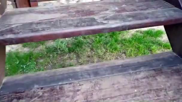 Dítě stoupá po dřevěných schodech skluzavky. Jezdit na horské dráze. Zábavná dětská zábava. Park entertainment. — Stock video