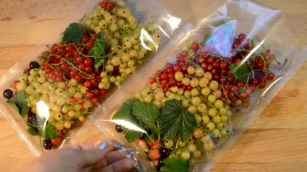 Preparativos para el invierno. Embalaje al vacío de bayas frescas maduras en bolsas. Se están abasteciendo de fruta para el invierno.. — Vídeos de Stock