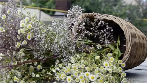 Ένα μπουκέτο αγριολούλουδα σε ένα ψάθινο καλάθι. Ένα ελαφρύ αεράκι κουνάει τα καπέλα λουλουδιών. Καλοκαιρινό μπουκέτο. Λιβάδι ανθοφόρα βότανα σε μια ηλιόλουστη μέρα. — Αρχείο Βίντεο