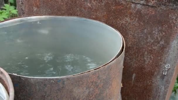 Un barril de agua. Suministro de agua en un barril de hierro para regar plantas. El barril del jardín está lleno de agua de lluvia. — Vídeos de Stock