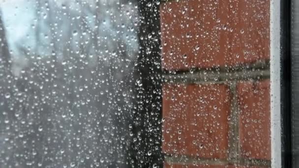 유리에 물이 떨어진다. 집 창문 밖에 비가 왔어. 봄과 가을에는 날씨가 궂습니다. 빗방울. — 비디오