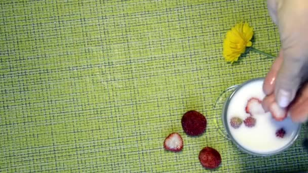 Draufsicht, Tisch mit einem Becher Milch und Beeren. gesundes Frühstück mit Erdbeeren in Milch. Ein Blumenstrauß auf dem Tisch. Die Hand fügt Beeren ins Glas hinzu. — Stockvideo