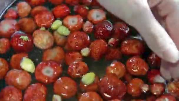 Gros plan lave à la main les fraises dans l'eau. Une femme lave les fruits dans l'eau. Baies pures de fraises rouges juteuses. — Video