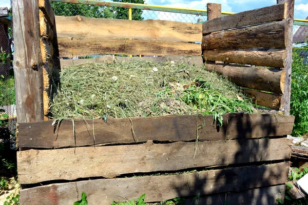 Compost Heap Compost Pit Wooden Box Fertilizer Waste Humus Your — Stock Photo, Image