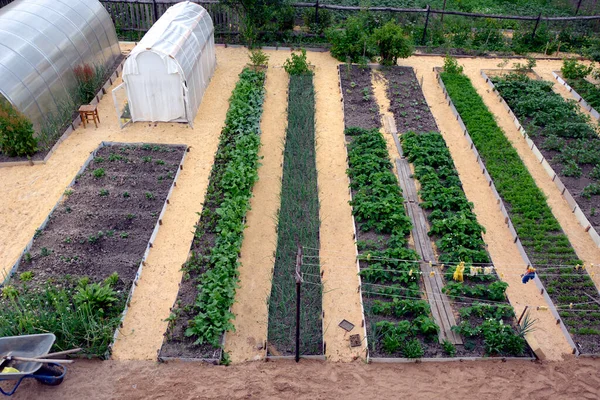 Vegetable Beds Greenhouses Vegetable Garden Spring Long Even Ridges Parallel — Stock Photo, Image