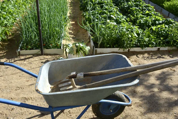 Garden Cart Close Transporting Manure Earth Grass Cart Garden Agricultural — Stock Photo, Image