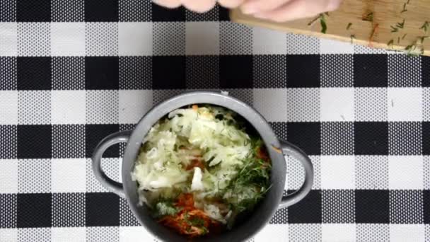 Mujer ensalada de sal de col, verduras y hierbas. Ensalada de verduras en un tazón de cerámica. — Vídeo de stock