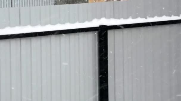 Сніжинки летять уздовж металевого паркану. Сніжна погода. На вулиці сніг дме. Снігопад і хуртовина . — стокове відео