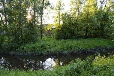 Nehir. Güneş, ağaçların yoğun yapraklarını delip geçer. Çimlerle kaplı küçük bir nehrin kıyısında. Köyde güneşli bir sabah.