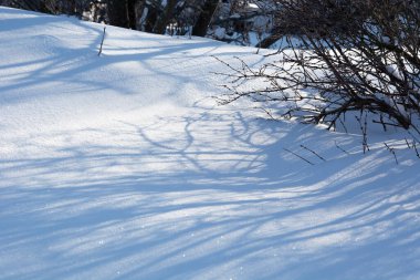 Bahçedeki karın yüzeyindeki çalıların uzun gölgeleri gibi. Yazlık evde kış günü..