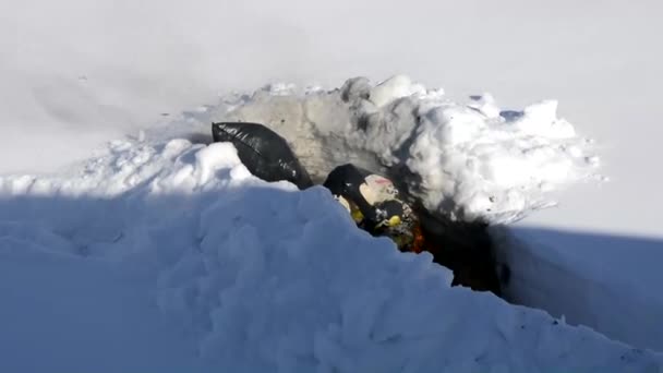 Afval wordt verbrand in een diepe sneeuwstorm. Veilige verbranding van huishoudelijk afval in de sneeuw. Winterreiniging van afval en verwijdering door verbranding. — Stockvideo