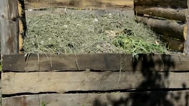 Compost put in de tuin. Oogsten met huishoudelijk afval. Container met mest, grasmaaiwerk en tuinafval. — Stockvideo