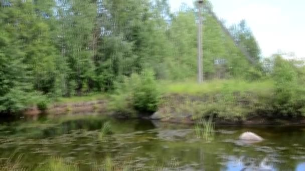 숲 속의 물이야. 작은 연못 이 있는 시골 지역입니다. 도시 밖의 화창 한 날. — 비디오