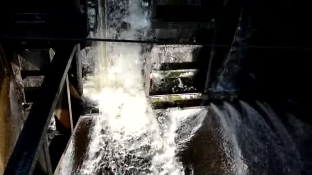 Diga in campagna. Struttura di pompaggio dell'acqua che divide il fiume. Forte flusso d'acqua da un'altezza. — Video Stock