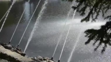 Yazın şehir parkındaki çeşme. Çeşmeden fışkıran su gölün içine doğru uçar..