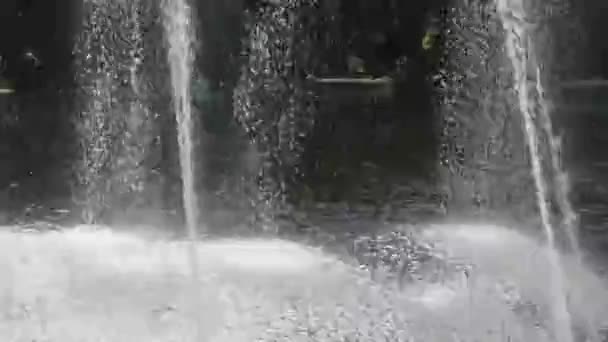 Fontaine dans le parc municipal en été. Des jets d'eau de la fontaine tombent dans le réservoir. — Video