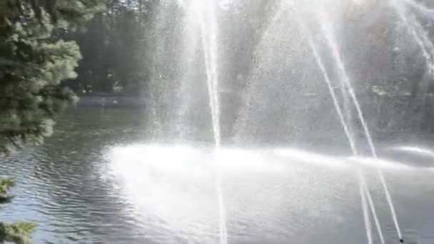 Fontaine dans le parc municipal en été. Des jets d'eau sortent de la fontaine. — Video