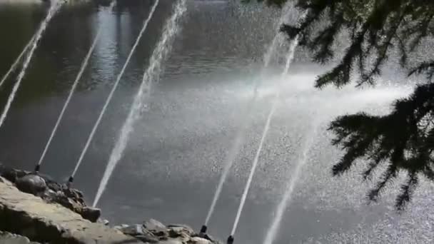 Fontaine dans le parc municipal en été. Des jets d'eau de la fontaine s'envolent dans le réservoir. — Video
