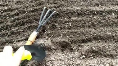 Bahçe yatağındaki bir serada toprağı kazıp çıkardım. Yeryüzünün yüzeyindeki bahçe aletleri..