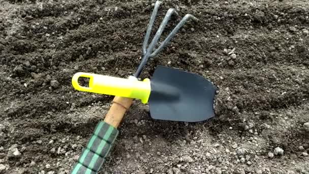 Ha dissotterrato un terreno in una serra in un letto da giardino. Attrezzi da giardinaggio sulla superficie della terra. Vista dall'alto. — Video Stock