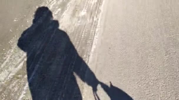 Schatten einer Frau mit einer Tasche. Eine ältere Dame läuft im Frühling die Straße entlang. — Stockvideo