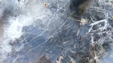 Bacak su birikintisindeki buzları kırıyor. Bahar dondurması. Su yüzeyinde buz var..