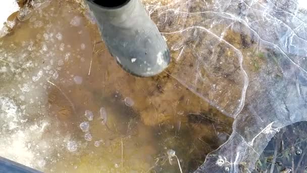 水坑里的冰在腿的压力下裂开了.春天的霜冻水面上的冰. — 图库视频影像
