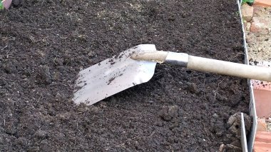 Ekmek için arazi arsası buldum. Kürek toprağa saplanmış. İnce toprak dokusu.