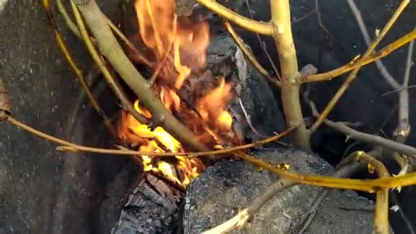 Fuego de primer plano. Quemando basura en un barril. Leña ardiente y ramas de árboles. Una hoguera está ardiendo en un recipiente de metal. — Vídeo de stock