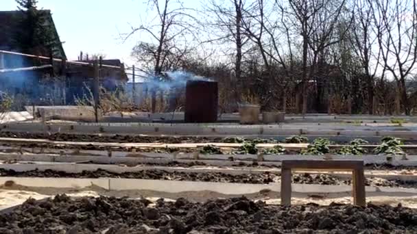 裏庭の庭のベッド。背景には、それらに燃焼廃棄物を持つバレルがあります。野菜やハーブを植えるための尾根に土地を掘ります。右から左へのカメラの動き. — ストック動画